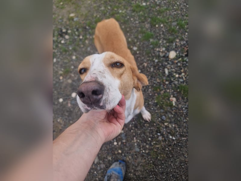 Shika – eine Seele zwischen Straße und Hoffnung