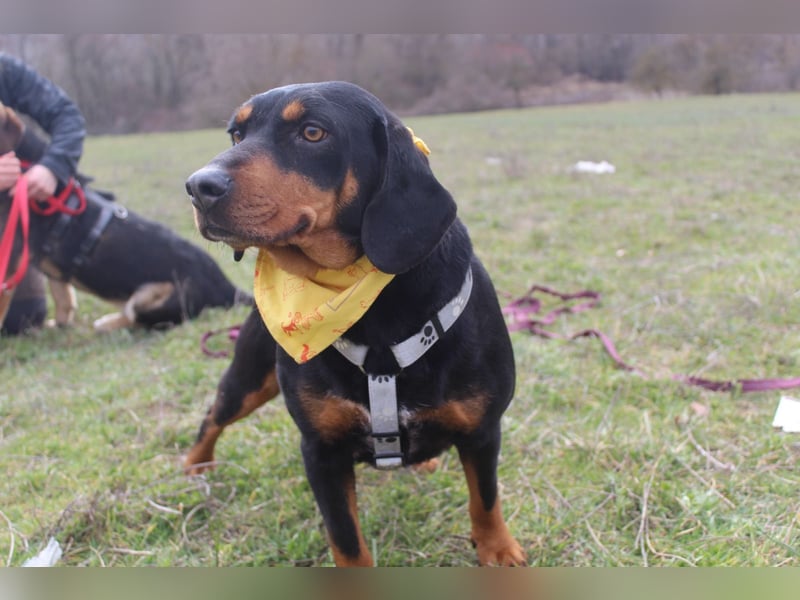 Lisa – wilde Wurzeln, weiches Herz