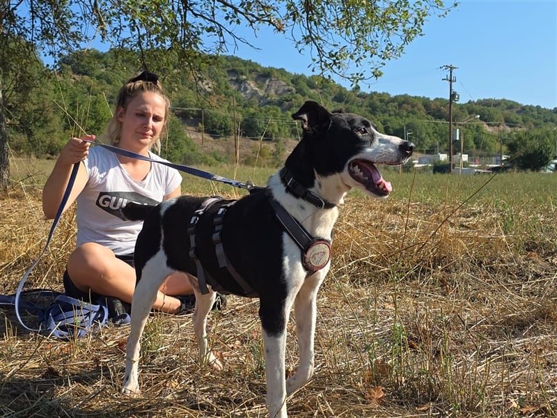 Jack - Lebensfreude pur trotz Handicap