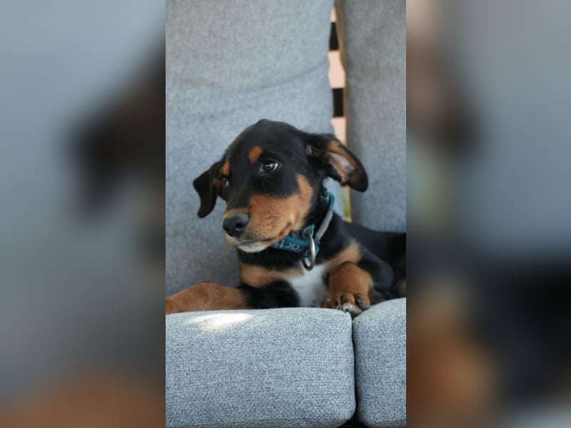 kleine Entdeckerin Liny