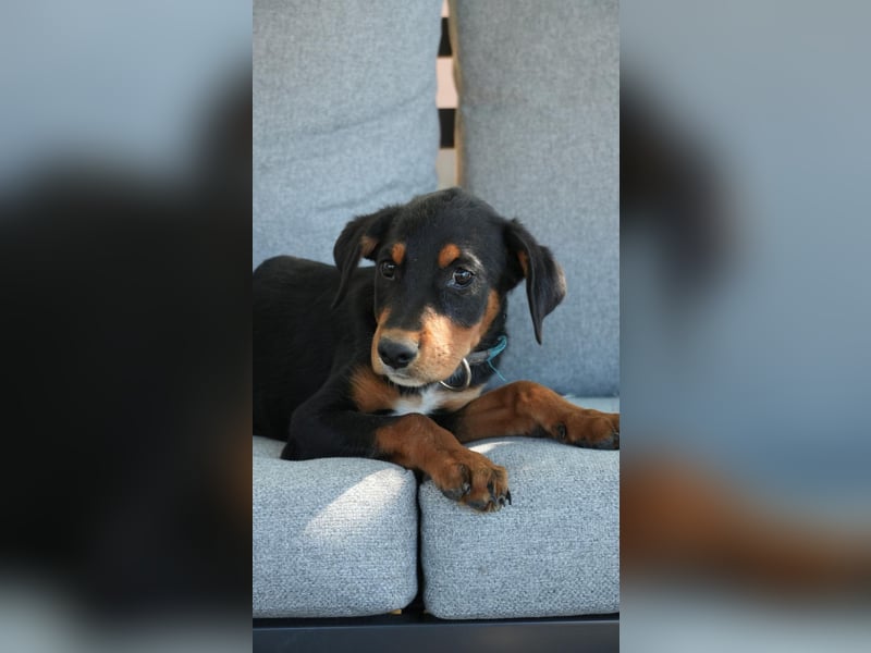 kleine Entdeckerin Liny