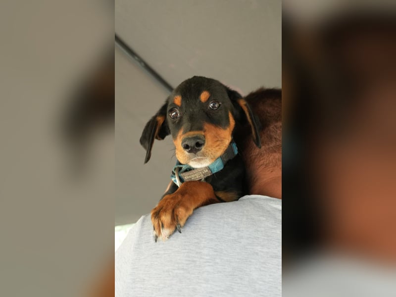 kleine Entdeckerin Liny