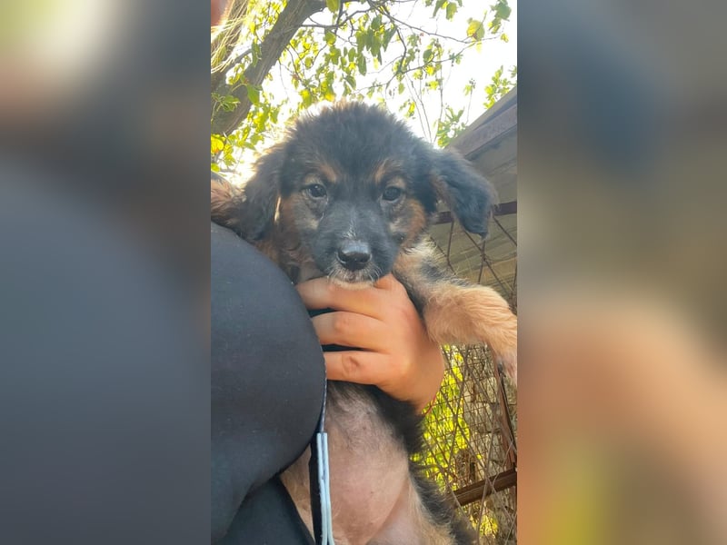 schwerer Start für Corei