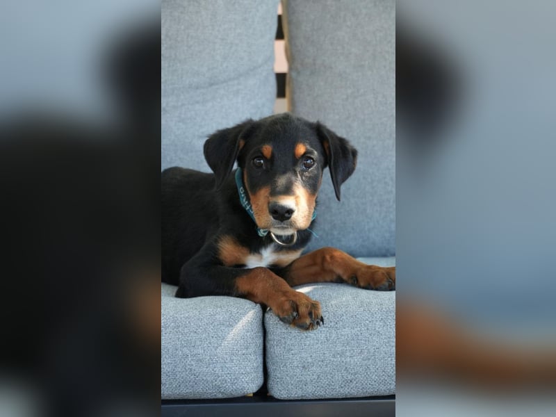 kleine Entdeckerin Liny