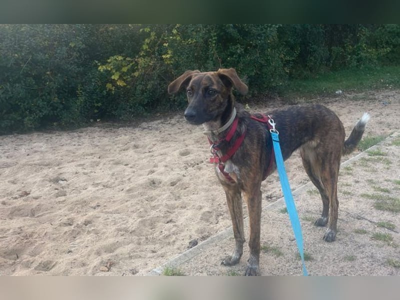 zweite Chance für Yara