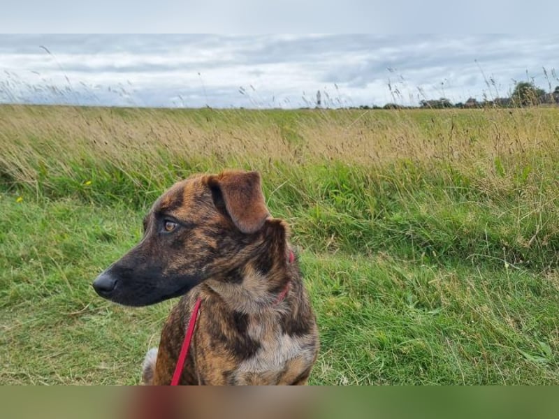 zweite Chance für Yara