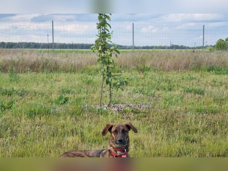 zweite Chance für Yara