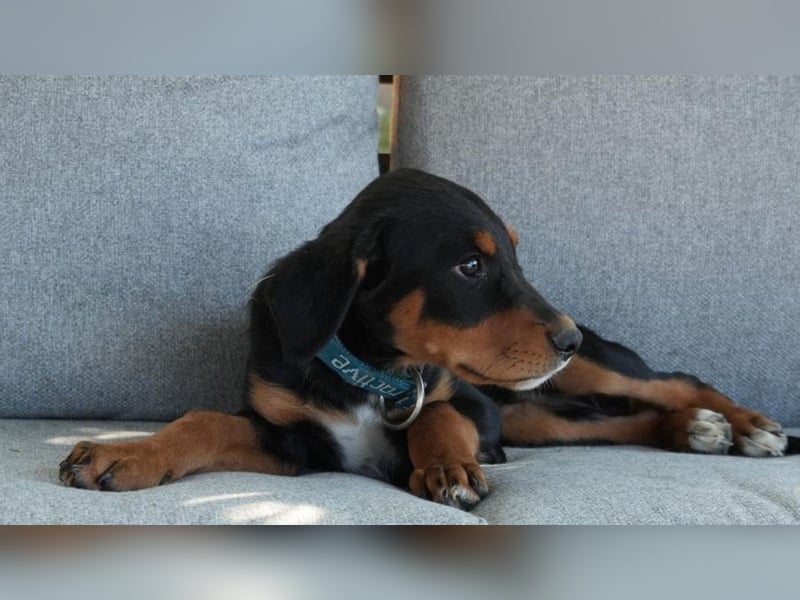 kleine Entdeckerin Liny