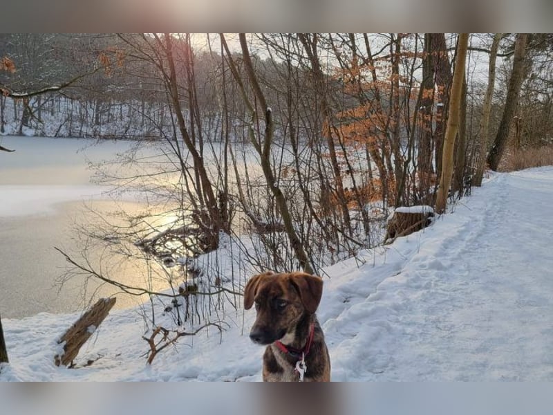 zweite Chance für Yara