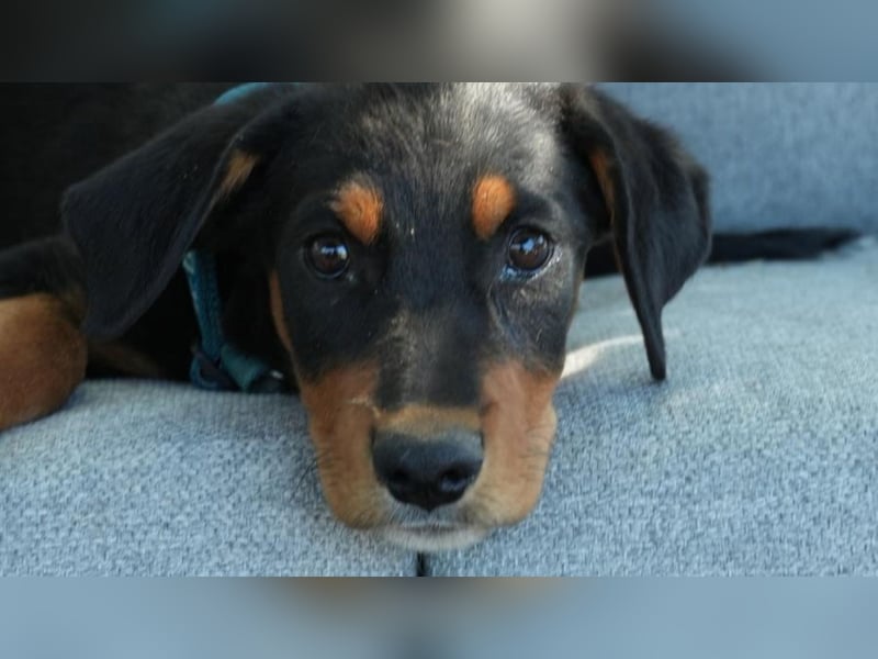 kleine Entdeckerin Liny