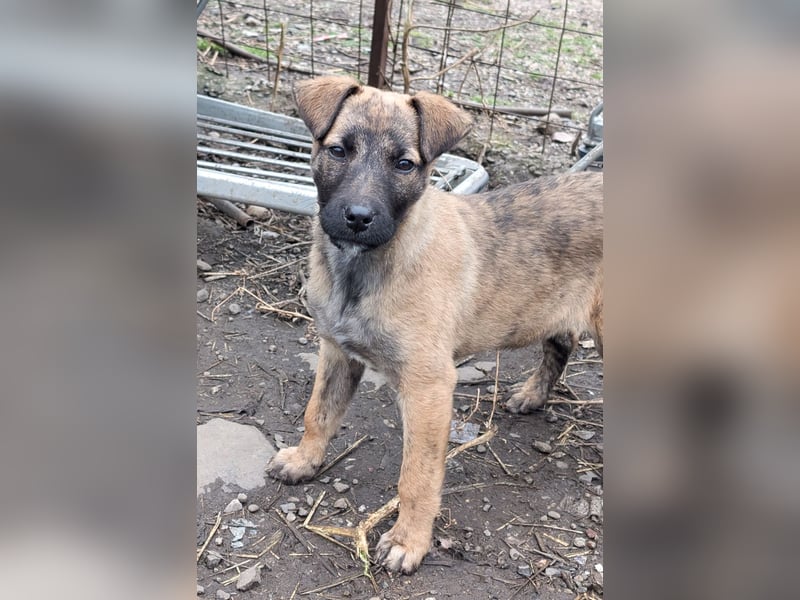 YUKI - süß, sanft, freundlich