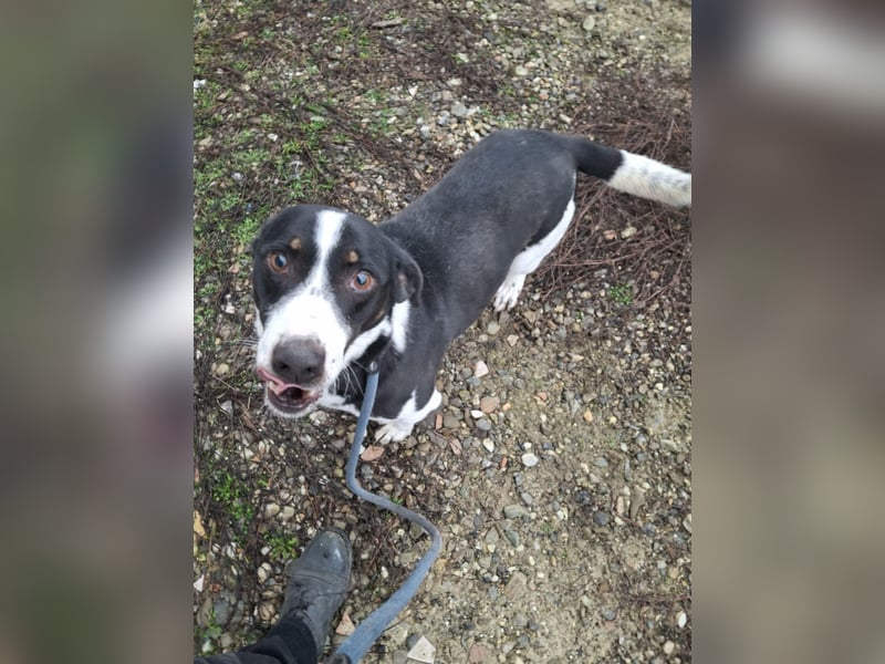 PEPITO - er wartet schon so lange