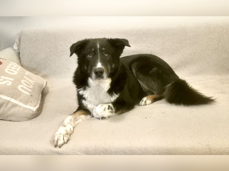 ZEN - der Junge, der sein Glück sucht