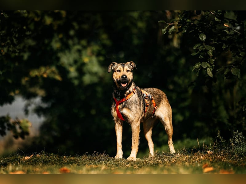 Süße Bulotschka sucht ihre Menschen