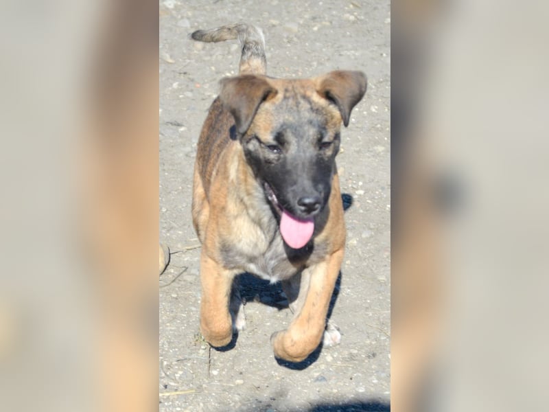 YUKI - süß, sanft, freundlich