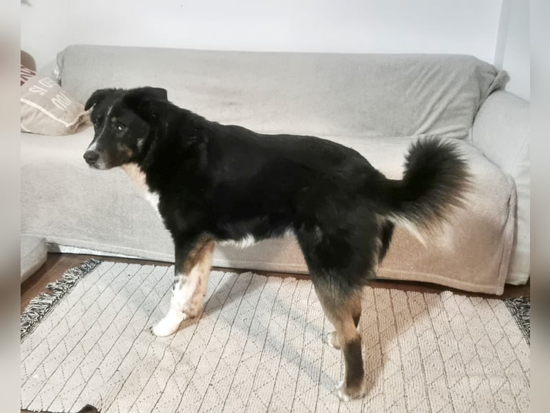 ZEN - der Junge, der sein Glück sucht