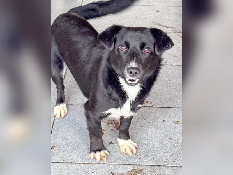 HERA - Zaubermaus sucht ihre Menschen