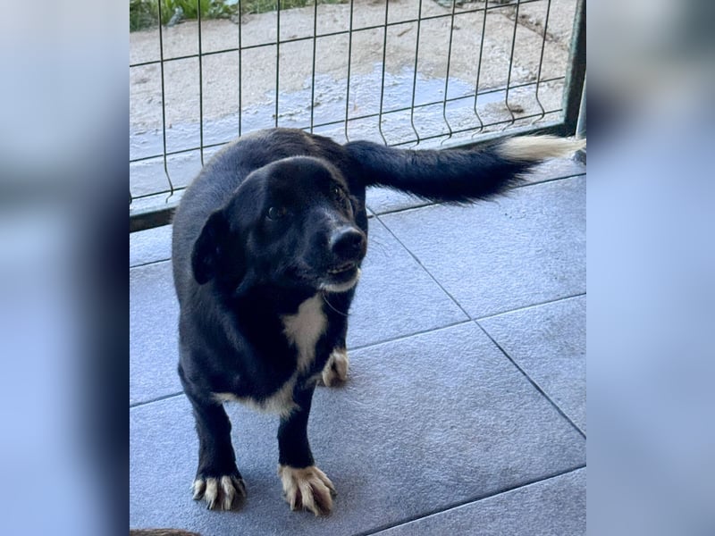 HERA - Zaubermaus sucht ihre Menschen