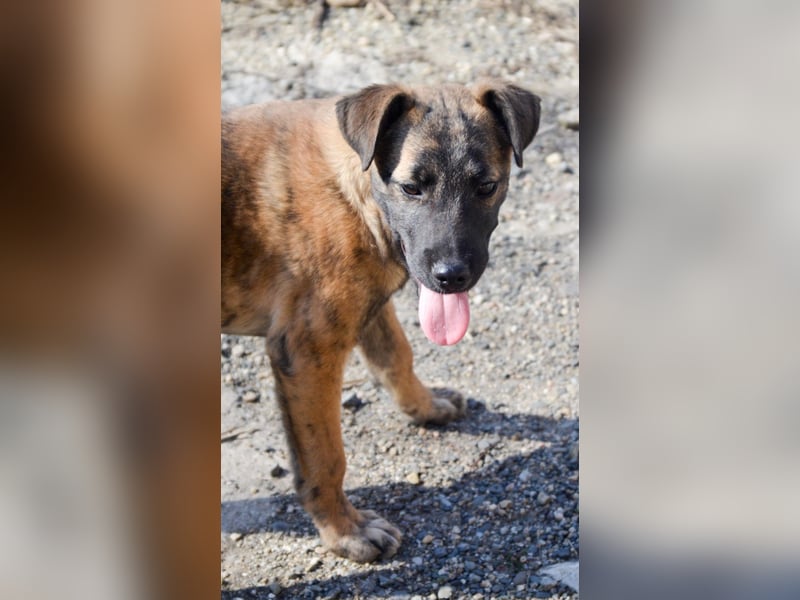 YUKI - süß, sanft, freundlich