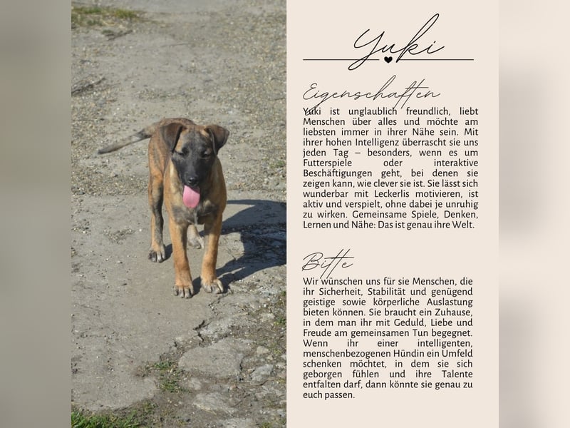 YUKI - süß, sanft, freundlich