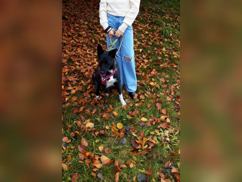 JOY sucht eine Familie