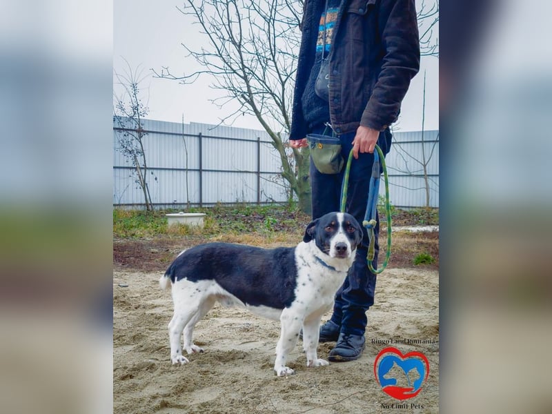 PEPITO - er wartet schon so lange