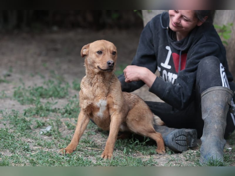 Lucky startet mit deiner Hilfe in sein neues Leben