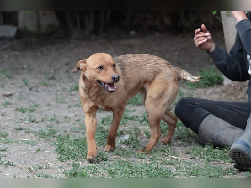 Lucky startet mit deiner Hilfe in sein neues Leben