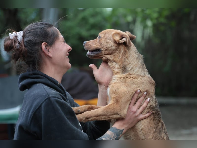 Lucky startet mit deiner Hilfe in sein neues Leben