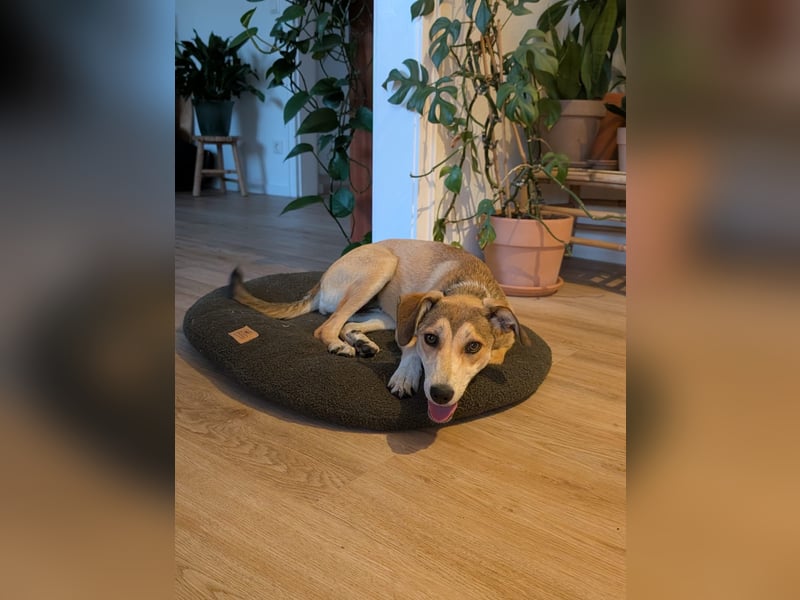 Süße Livia