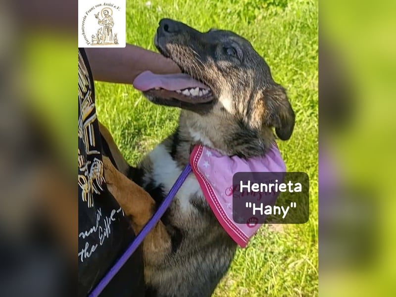 Hany – neugierig, frech und unwiderstehlich!
