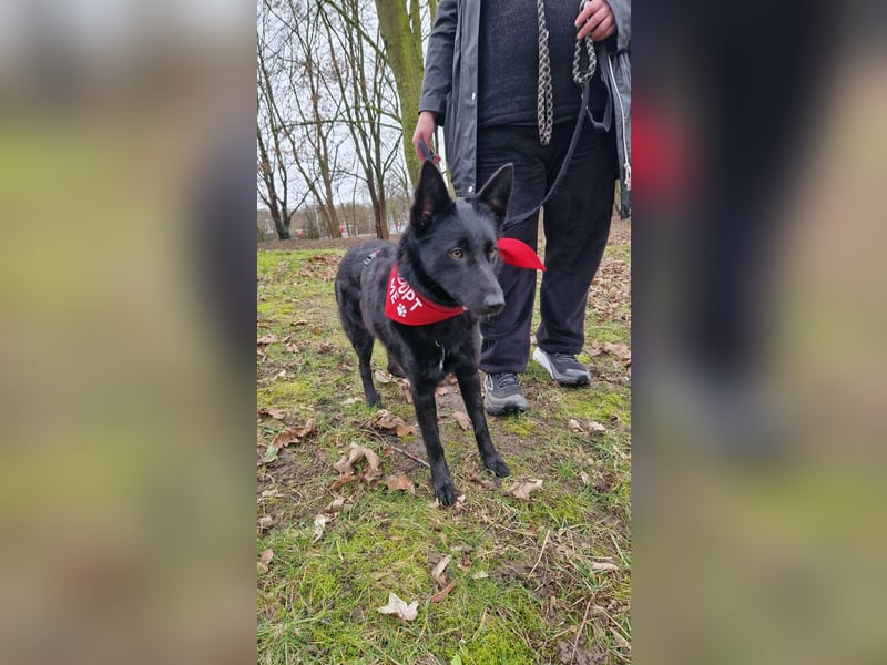 Schönheit Emma in 45138 Essen