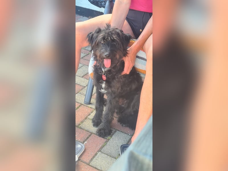 Lieber Frate wartet in Essen