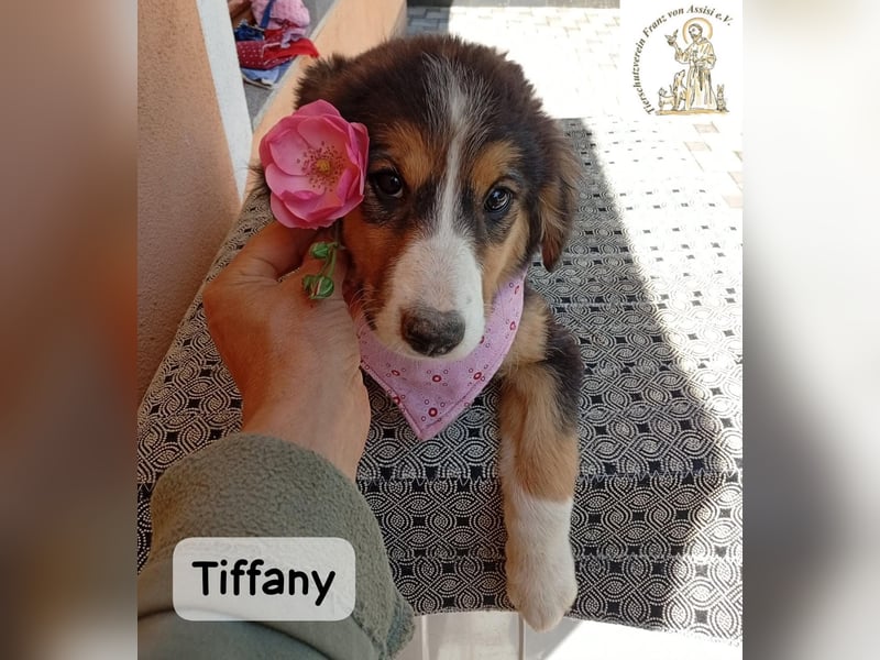 Tiffany – Man ist nie zu klein, um für jemanden die ganze Welt zu sein!