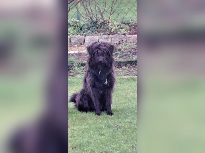 Lieber Frate wartet in Essen