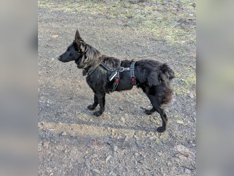 Schönheit Emma in 45138 Essen