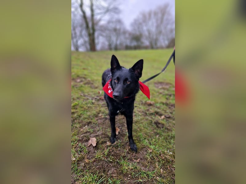 Schönheit Emma in 45138 Essen