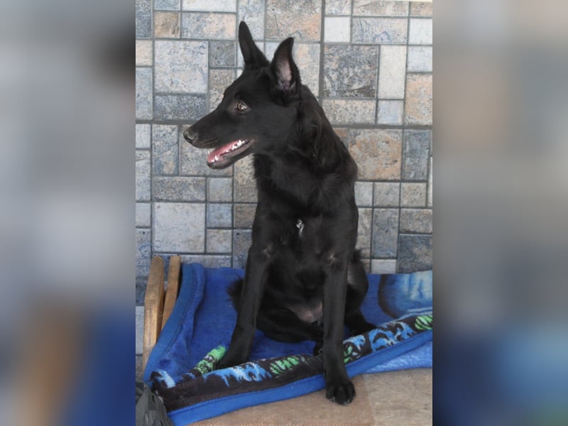 Schönheit Emma in 45138 Essen