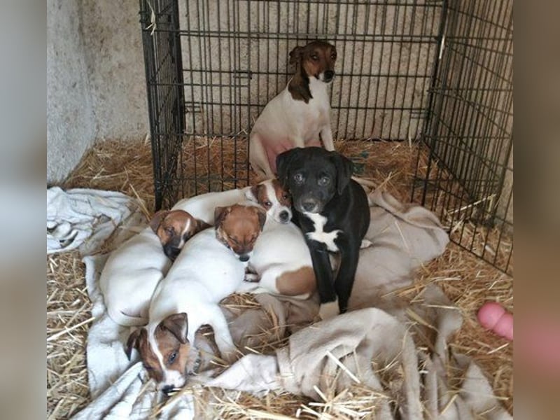 Mia ist ein echter Hingucker