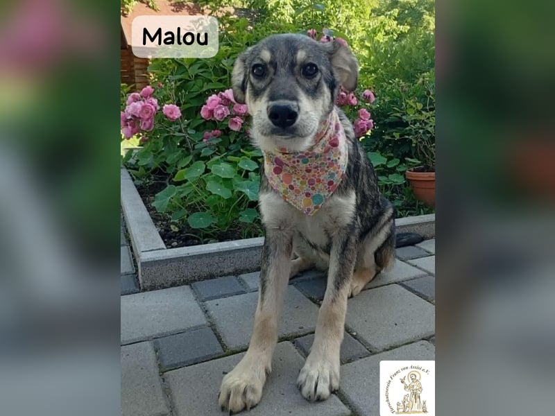 Malou – kleine Entdeckerin mit feinem Gespür!