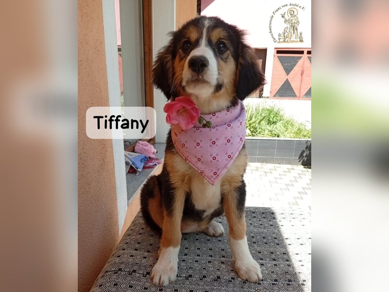 Tiffany – Man ist nie zu klein, um für jemanden die ganze Welt zu sein!