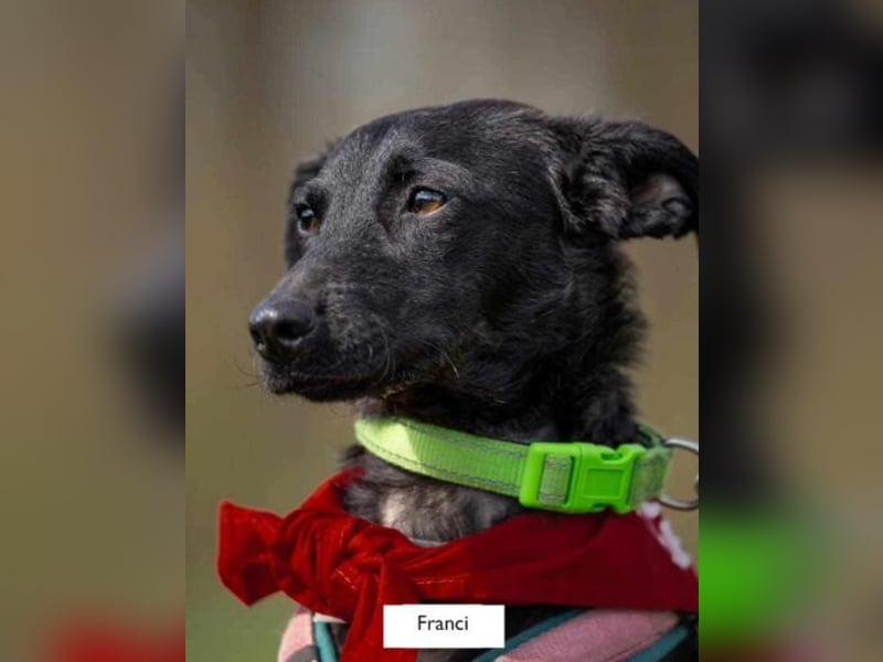 Sensible Leesha sucht ihre Menschen