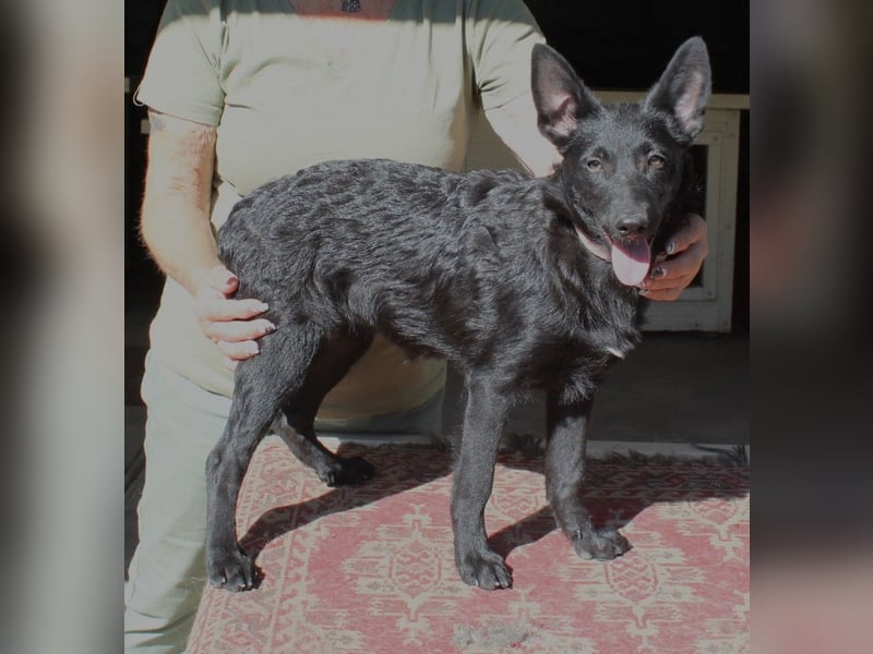 Schönheit Emma in 45138 Essen