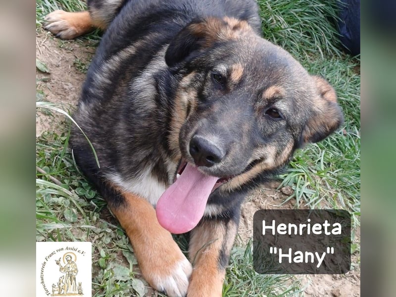 Hany – neugierig, frech und unwiderstehlich!