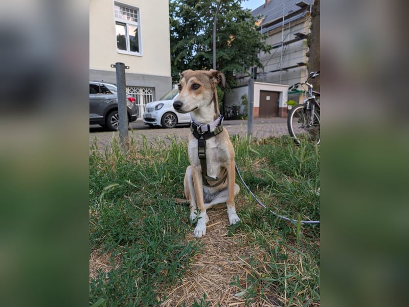 Süße Livia