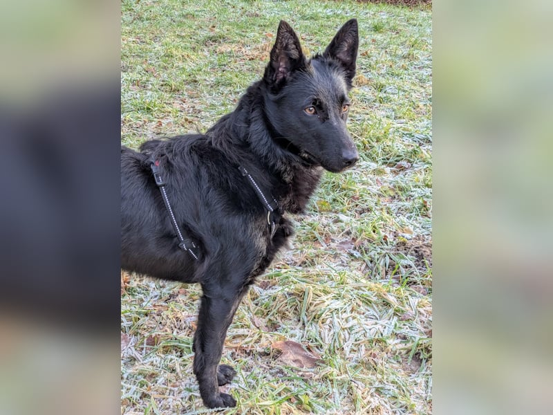 Schönheit Emma in 45138 Essen