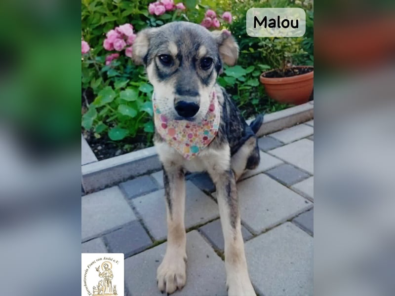 Malou – kleine Entdeckerin mit feinem Gespür!