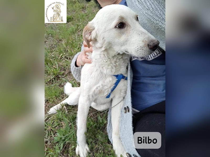 Bilbo – verliebt ins Leben und bereit für dich!