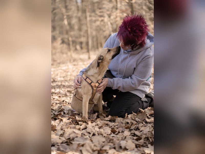 Sonnenschein Tapi mit Handicap wartet in Oberdürenbach