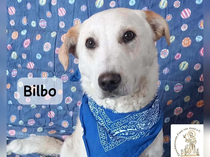 Bilbo – verliebt ins Leben und bereit für dich!